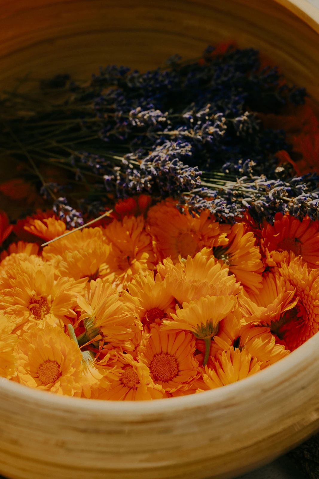 Vitale Heilpflanzen in h&ouml;chster Qualit&auml;t als Grundlage f&uuml;r Weleda Arzneimittel und Naturkosmetik