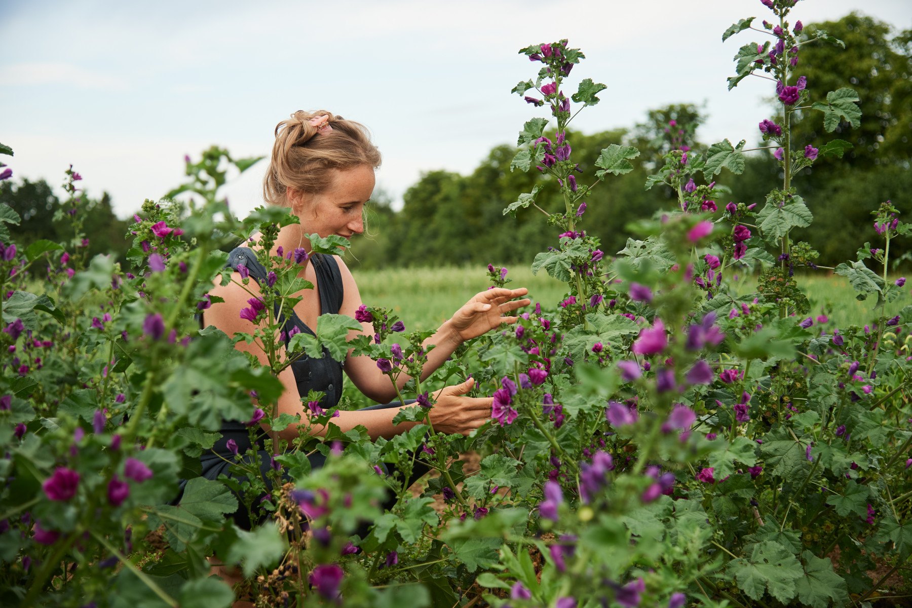 Eine Frau befindet sich in einem Feld mit hochgewachsenen Malvenpflanzen. Sie greift behutsam nach den violetten Blüten. Im Hintergrund sind Bäume und Wiesen sichtbar.