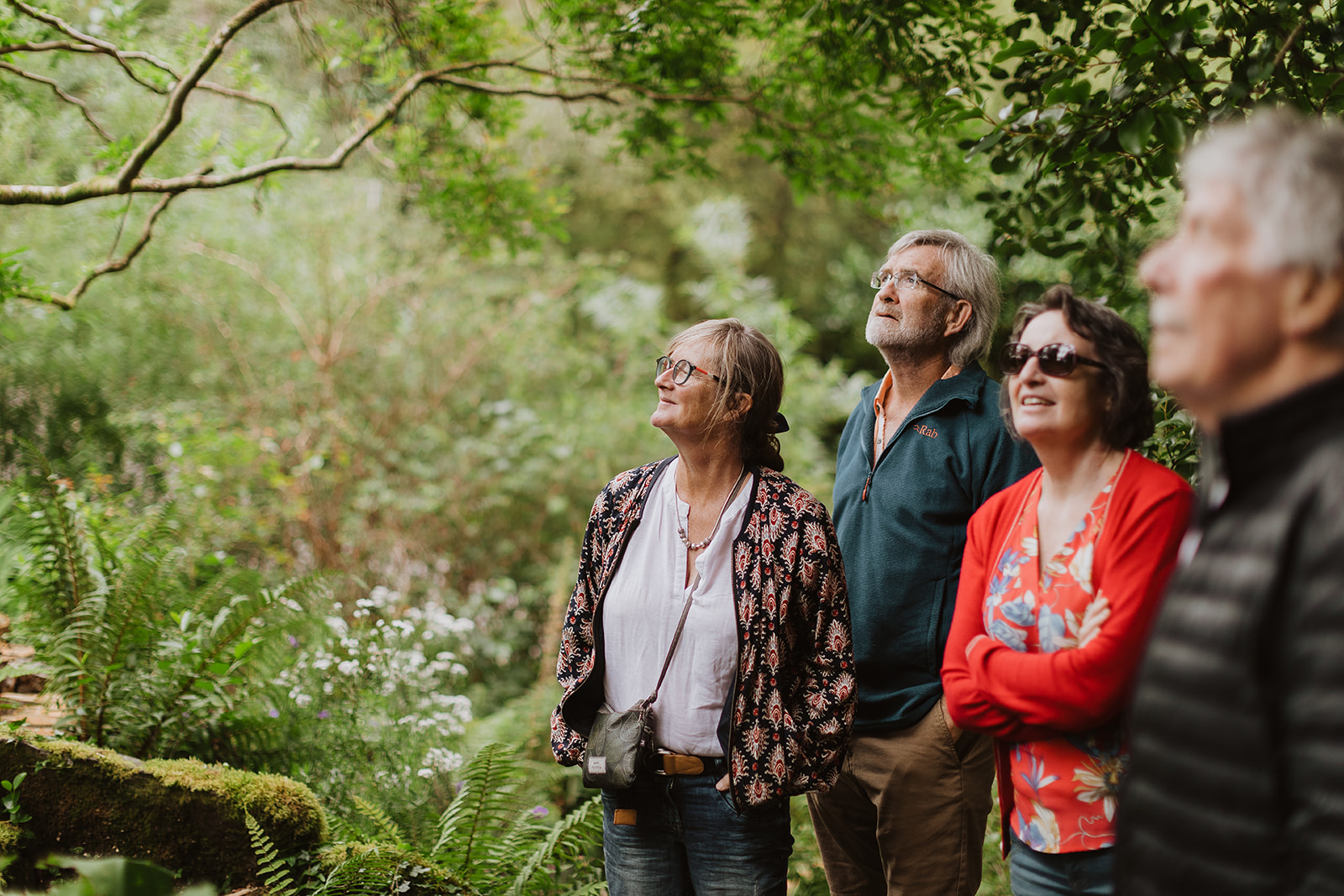 Vier Erwachsene stehen in einem Garten und blicken interessiert nach oben, umgeben von Farnen und B&auml;umen.