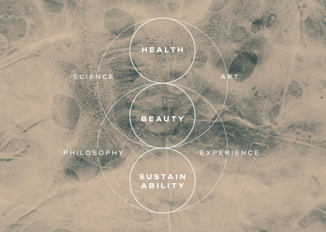 Ein Diagramm das Gesundheit, Nachhaltigkeit und Schönheit im Zentrum zeigt – verbunden durch Wissenschaft, Kunst, Philosophie und Erfahrung.