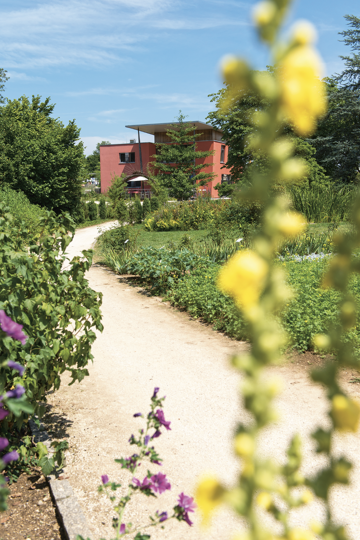 Ein geschwungener Kiesweg führt durch einen blühenden Garten zu einem roten, modernen Gebäude mit Flachdach, umgeben von Bäumen und Pflanzen.