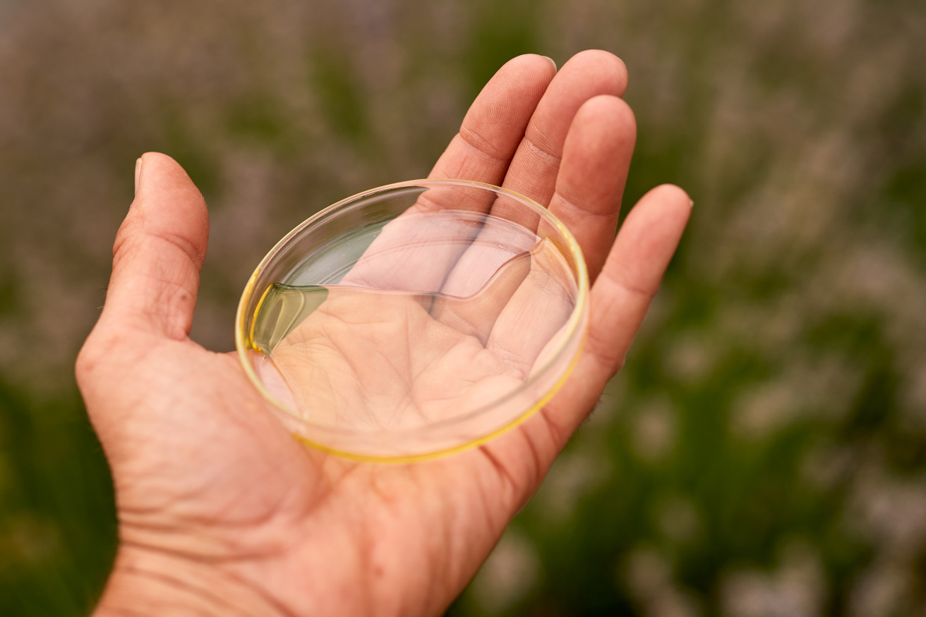Eine Hand hält eine flache Glasschale mit einer klaren, gelblichen Flüssigkeit – vermutlich ein Pflanzenextrakt oder Öl – vor unscharfem, grünem Hintergrund.