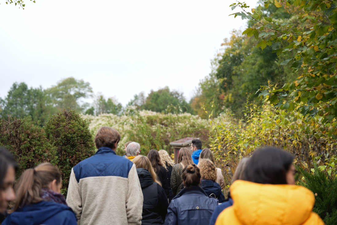 Eine Gruppe von Menschen geht bei bewölktem Wetter auf einem schmalen Weg durch einen herbstlich bewachsene Garten.