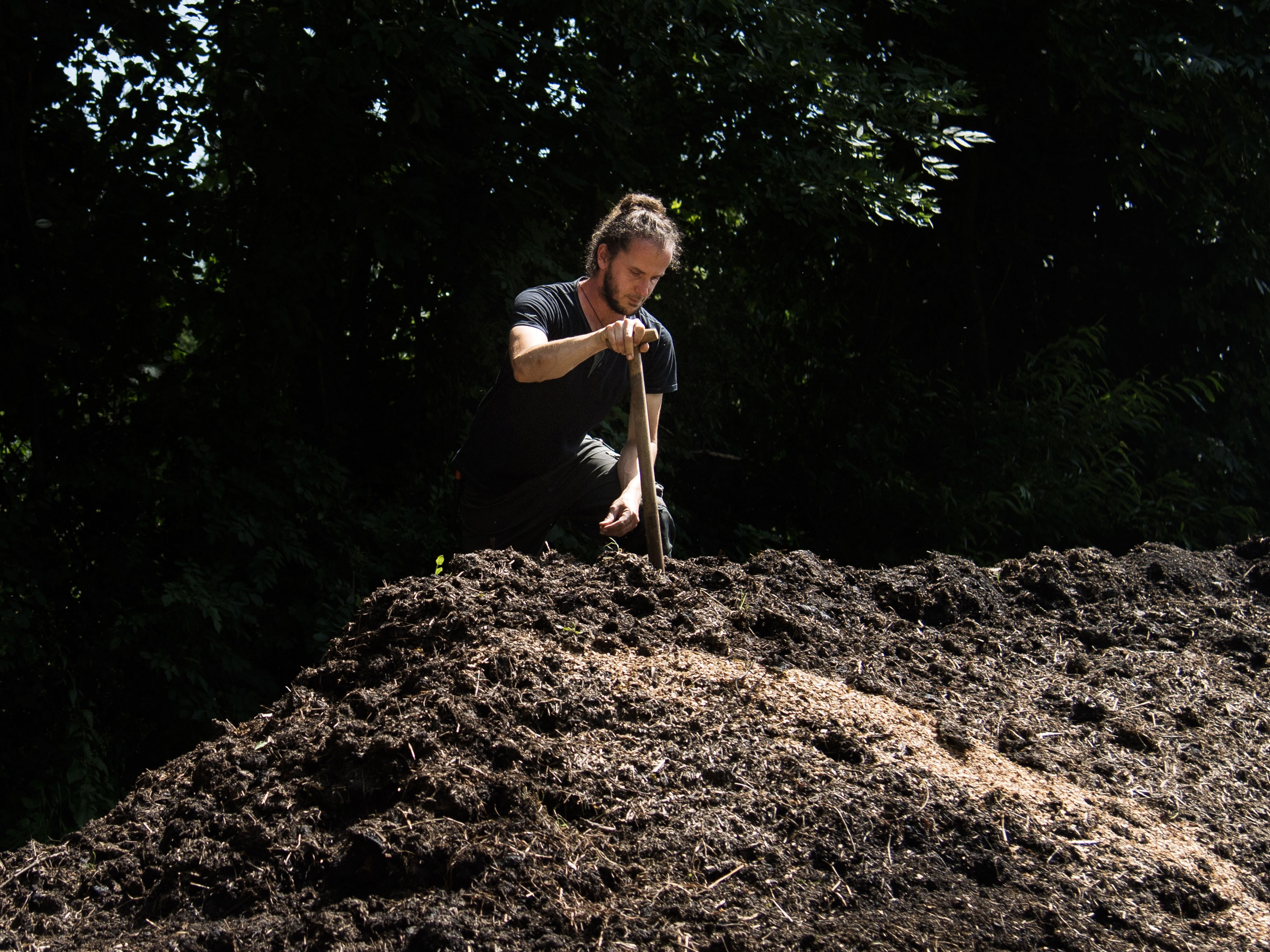 Eine Person kniet auf einem gro&szlig;en Komposthaufen und misst mit einem Thermometer die Temperatur, um den Reifegrad oder die Aktivit&auml;t des Komposts zu &uuml;berpr&uuml;fen.